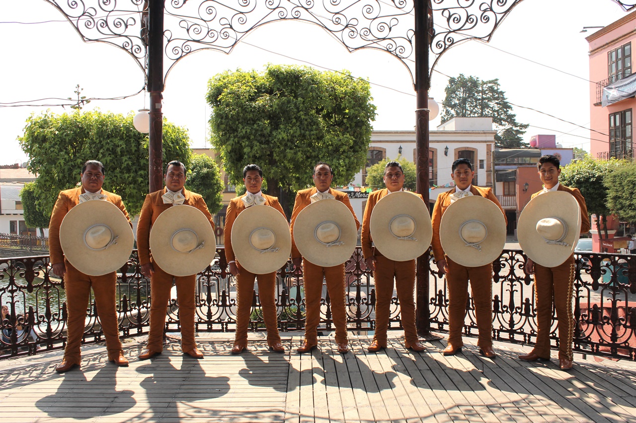 Mañanitas con mariachi, mariachi, mariachis, serenata